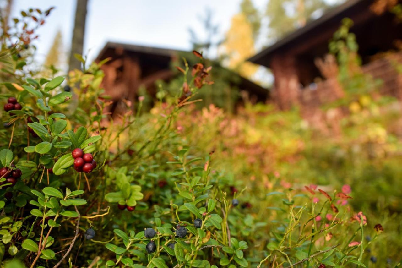 Lomalehto Cottages Ahvionniemi Exteriör bild